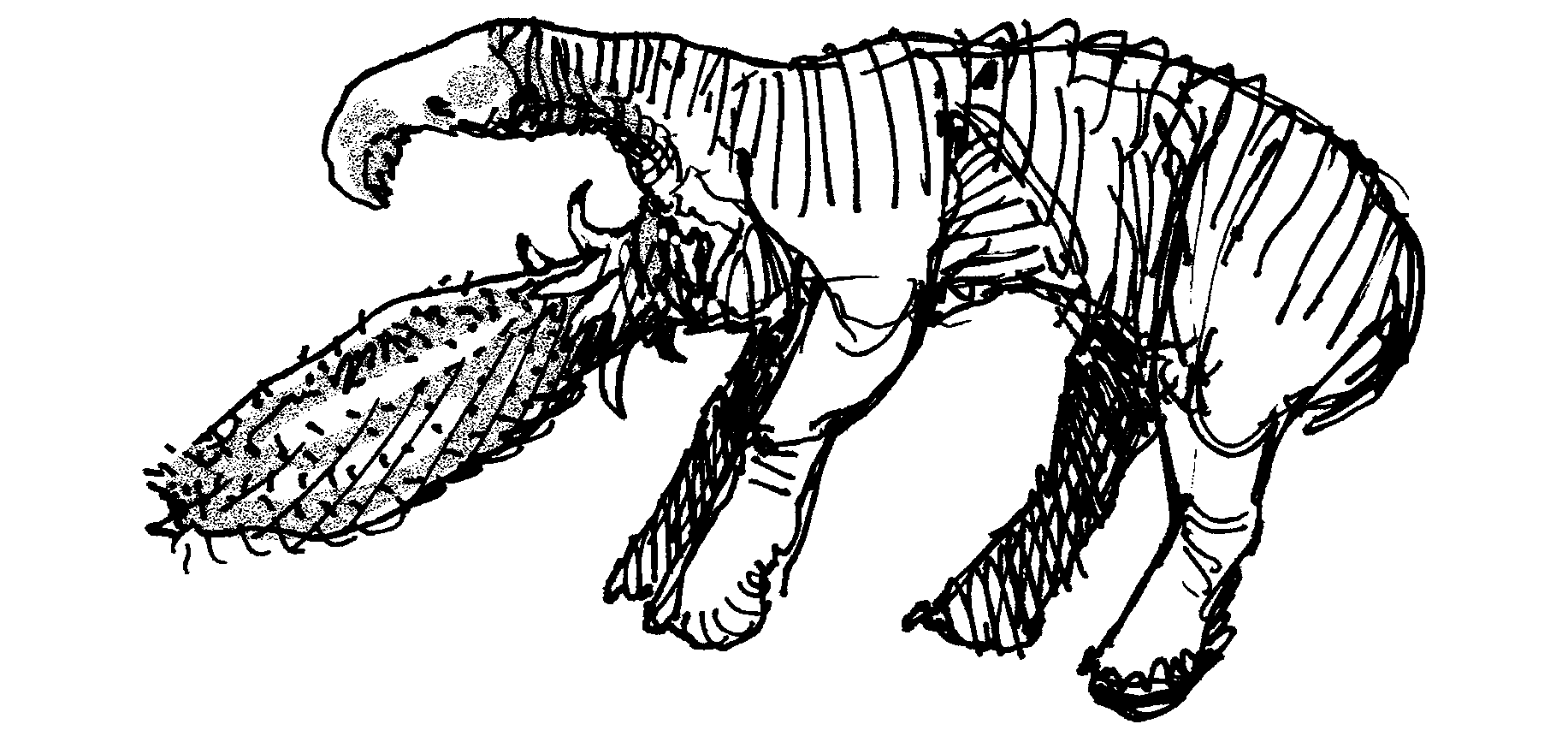 Snaiad advanced spinostome